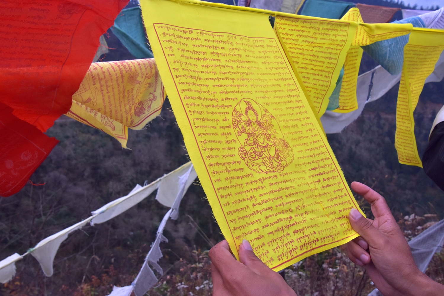 Bhutan’s Prayer Flags (13.11.19) JONO VERNONPOWELL